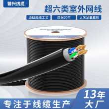 �W�����̾�FLUKE���y��SFTPCAT6E�o���~���˾W�j��ǧ���h���x��ݔ