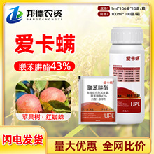 �ۿ��\43%������ľ���^�põ���ݮ�t֩����S�\�rș���\���x��