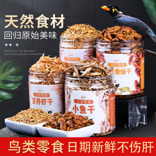 African Grey Parrot Training Treats: Bread Insects, Millet Insects, Cuttlebone, Tiger Tail Finches