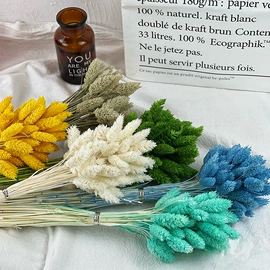 永生花;干花;鲜花花艺制品