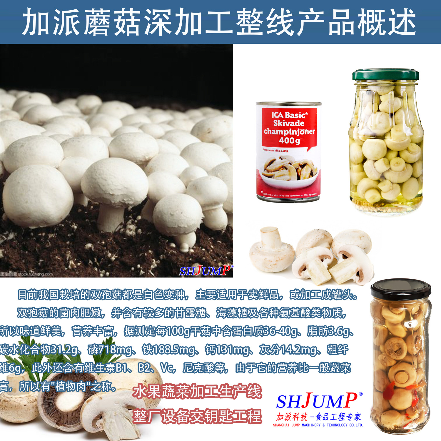 蘑菇罐頭加工生產(chǎn)線
