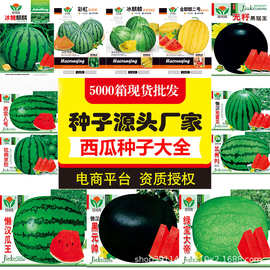源头工厂批发西瓜种子冰糖麒麟8424黄黑绿皮礼品懒汉无籽西瓜种籽