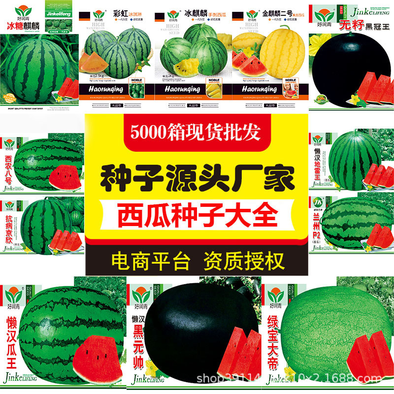 Source Factory Wholesale Watermelon Seeds Rock Sugar Kirin 8424 Yellow Black Green Skin Gift Lazy Man Seedless Watermelon Seeds