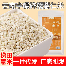 云南老品种薏米碎苡仁米墨江糯薏仁杂粮粗粮薏仁米批发 春城烟雨