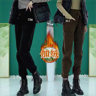 �ӽqѝ��Ů�ﶬ��2026�¿�����@�ݼӺ����e���_�\���lѝ��