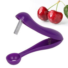 Cherry Pit Remover Cherry Stone Remover Creative Fruit Meat Tool Kitchen Gadget Small Tool