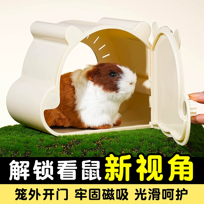 Укрытие для хомяка, видимое гнездо, золотой медведь, спальное гнездо для белки, клетка с магнитной присоской на внешней двери с мультяшным рисунком, доступная для всех сезонов.
