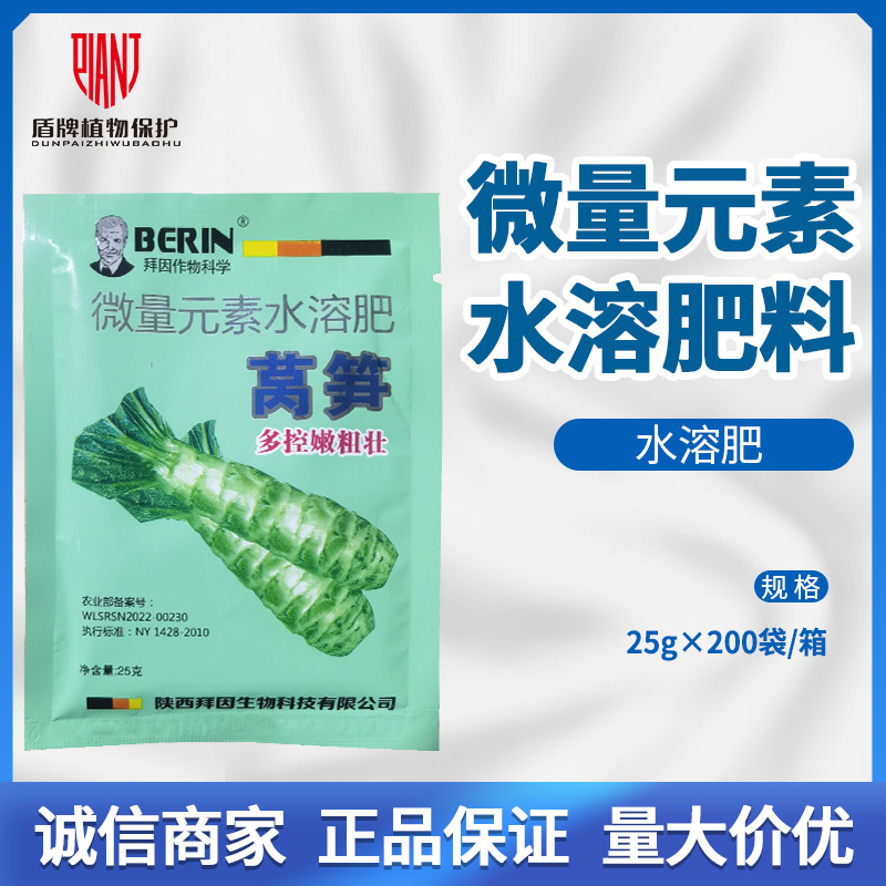 德国 拜因 莴笋多控嫩粗壮 控莴笋出苔 叶芽 防裂 延长鲜嫩期25克