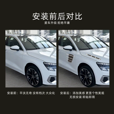 Air Vent Hood Decoration Sticker – Other Automotive Exterior Supplies