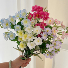 55cm�L֦3�С���򻨼ҾӾƵ��̈��[���ٻ����滨�����b����l