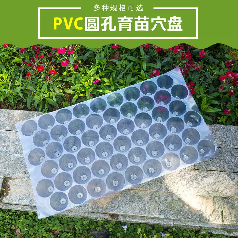 厂家批发PVC塑料白色瓜果盘圆孔玉米烟草穴盘辣椒西瓜苗种植盘菜