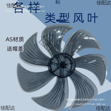 LL~AS ~ 10 12 14 16 18