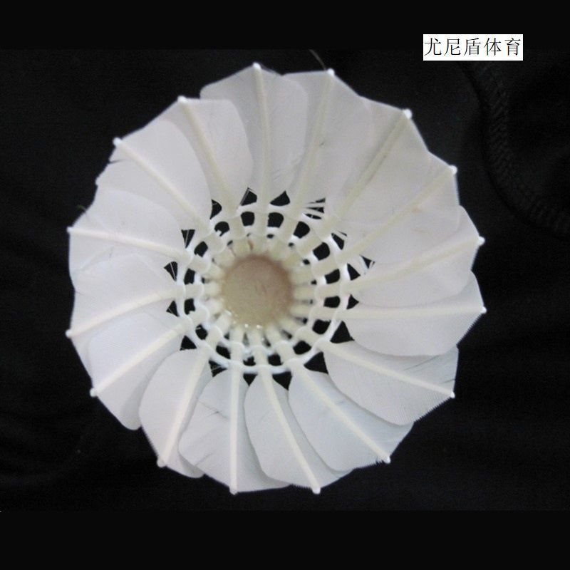 내구성이 뛰어난 블랙 6팩---인터넷 연예인과 동일한 스타일