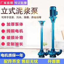 NL型液下泥浆泵无堵塞长杆排污泵抽粪鱼塘清淤吸泥泵