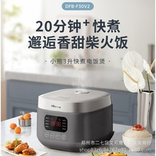 СһξܰlP3L DFB-F30V2