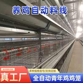 立式自动化养殖设备全自动框架养鸡笼鸡舍养鸡场层叠式H型鸽子笼