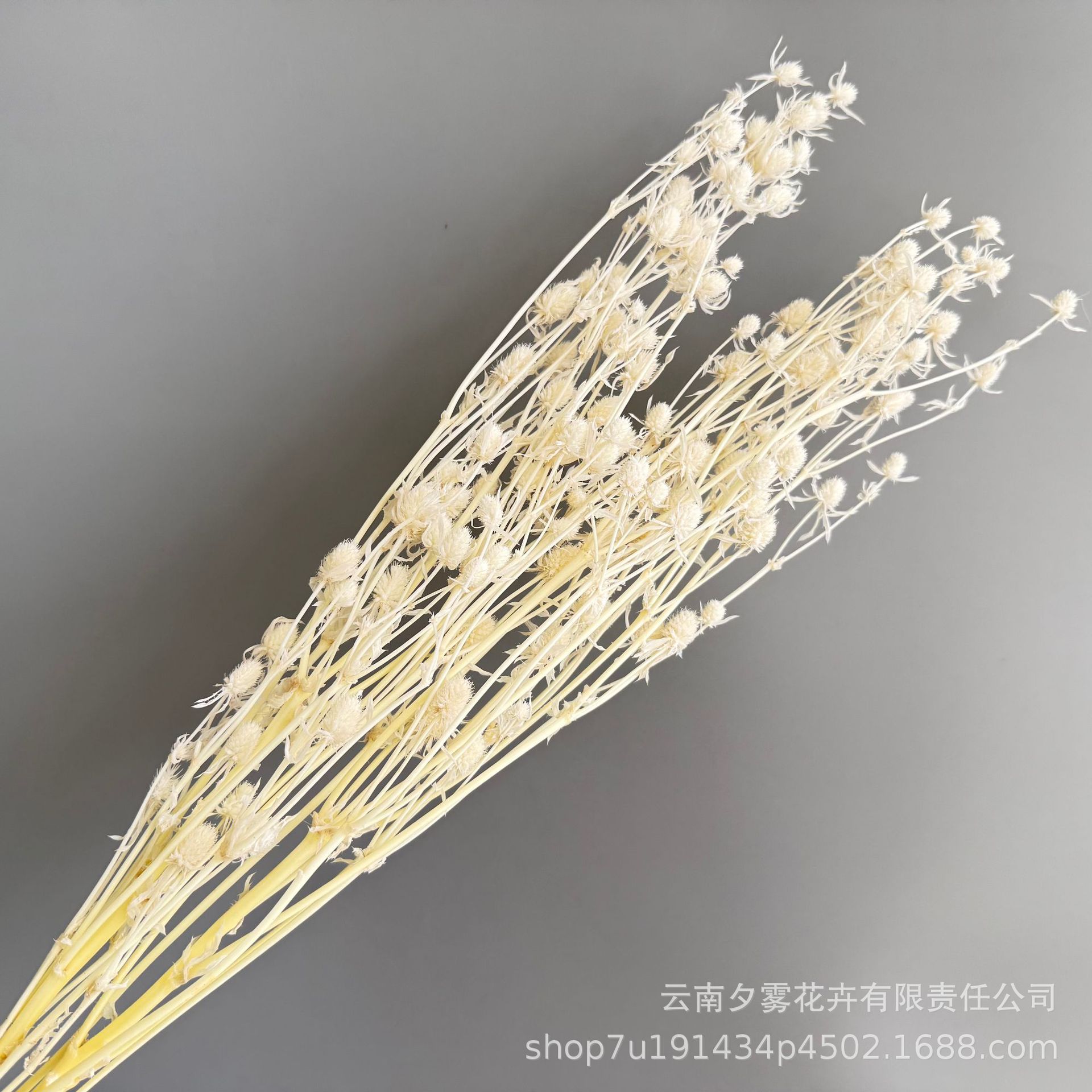 永生干花情人果花束摆件圣诞节情人节礼物小刺芹紫蓟圣诞树配花