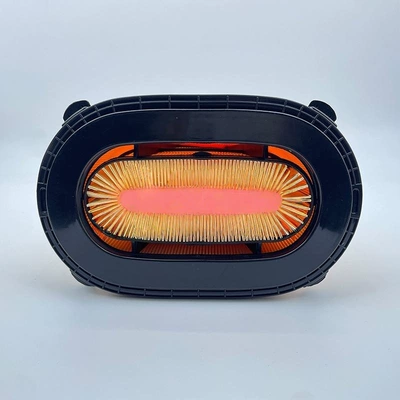 Honeycomb Filter Pa30118 – Air filter