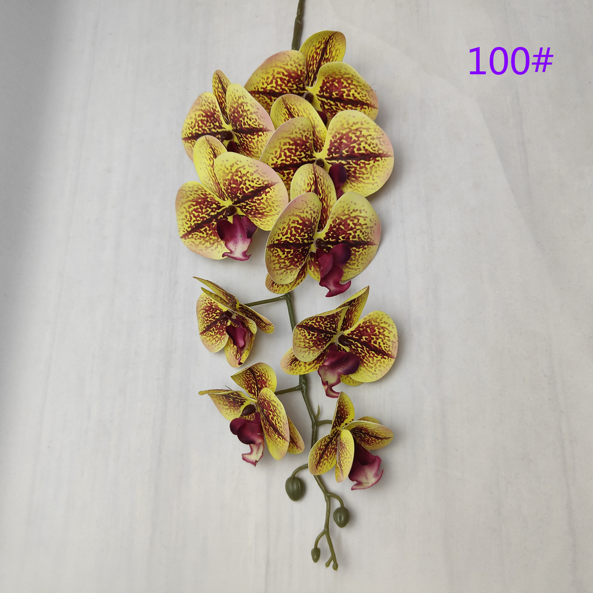 IMG20230509162027_副本