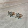 Brand zirconium, silver needle, earrings, micro incrustation, silver 925 sample