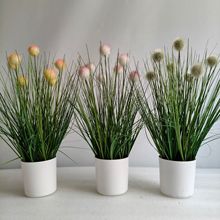 仿真芦苇蒲棒水草绿植把束蒲公英 香蒲棒水蜡烛  狗尾草 圆球柄草