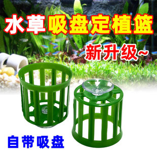 ˮ��ֲ�h���P�����׶�ֲ�@�~���쾰�B���մɭh���׷Nֲ����