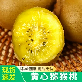 块茎类;苹果;梨