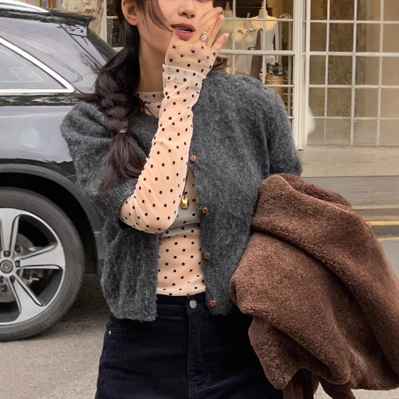 2 Color Spring New Japanese Style South Korea Dot Polka Dot Mesh Crewneck Long Sleeve Base Shirt T-shirt Top 2 Color Spring New Japanese Style South Korea Dot Polka Dot Mesh Crewneck Long Sleeve Base Shirt T-shirt Top