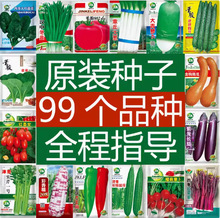 �߲��ѷN��ȫ�ļ������N�Ѱײ˷N���̨�˷N�ﶬ���Nֲ��˿��Ĳ�