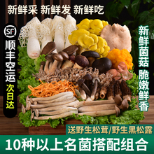 �u�����M�����p����Ǿ��Ҝ����ʳ���������r��������خaҰ����