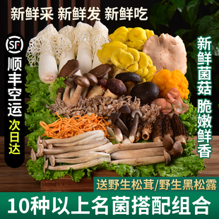 �����u������Ǿ�����خaҰ�������p�ӻ��ʳ���Ҝ����r�����M��