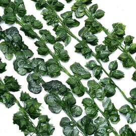 批发 仿真叶绿叶子仿真爬山虎叶藤绿萝叶 常青藤条假绿叶藤蔓仿真