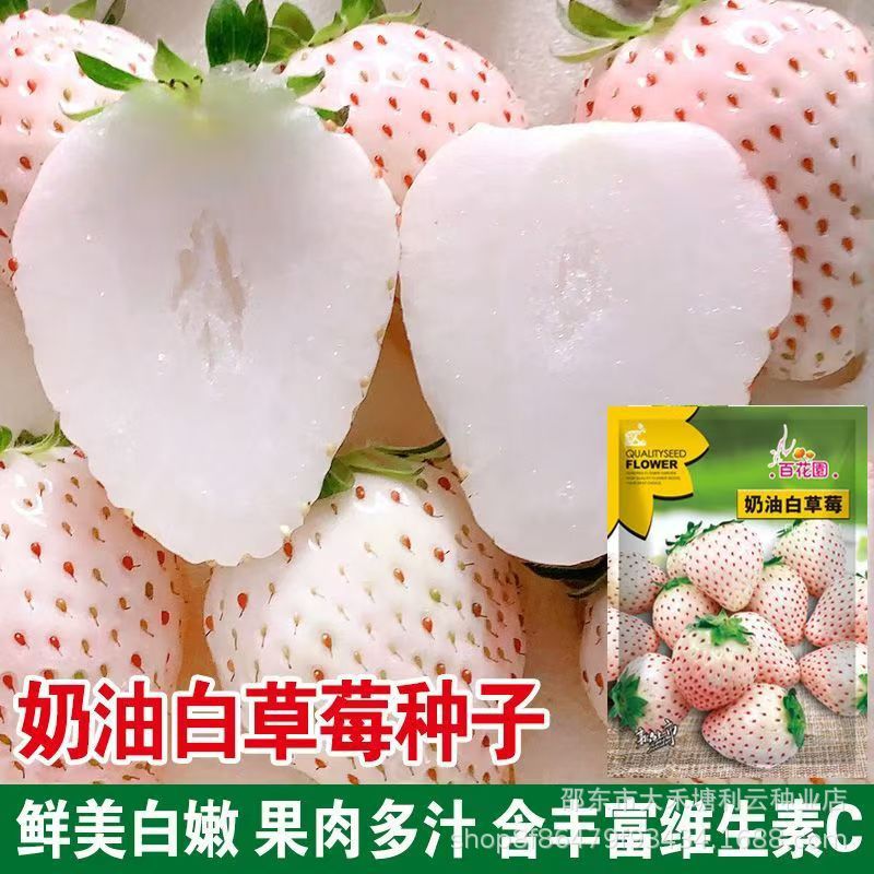 Cream white autumn strawberry
