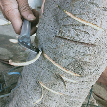 ����Ƭ3���׹���h�������ї����O����h��ۭ̽h���Ϙ�