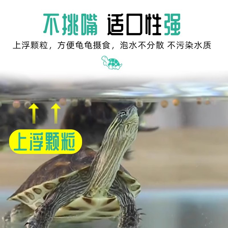 Nutritious Turtle Food Stone Money Turtle Food Snapping Turtle Food Brazilian Turtle Food Turtle Food Water and Land Baby Turtles Fish Shrimp Dried Turtles