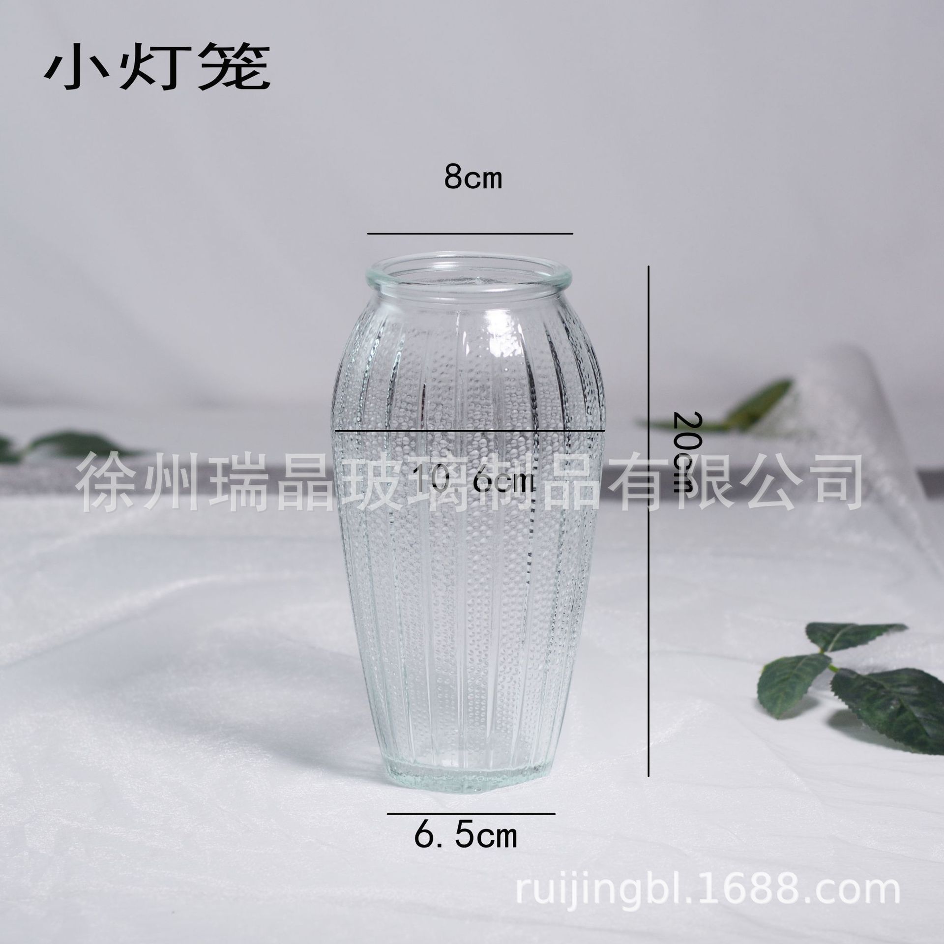 20 투명