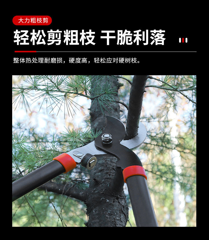 详情_08.jpg