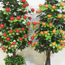 �٘����O��������ֲ������Դ��Ϳ͏d�҃ȼٻ��b�ˇ�Gֲ