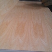 SauľNzϰ N Nľо 춸N