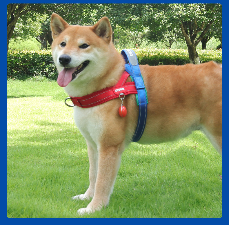 Reflective No-pull Dog Saddle Harness For Puppies And Small Dogs_voghion.com