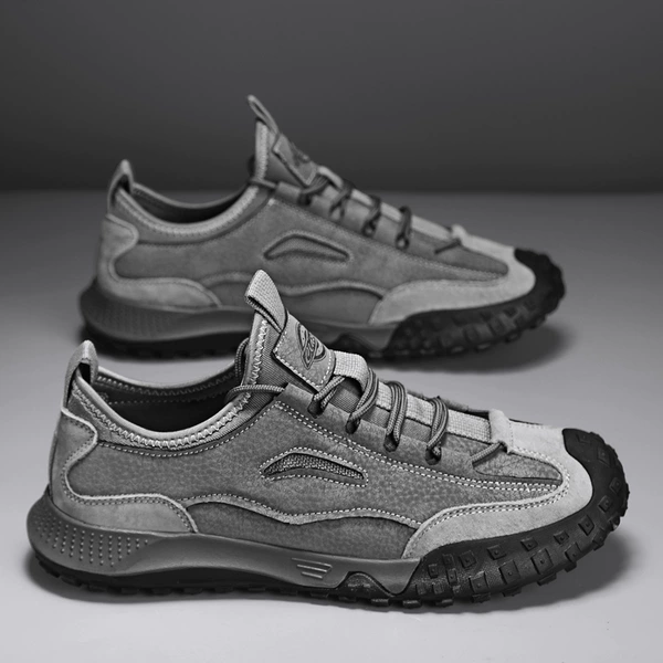 Z01 gray