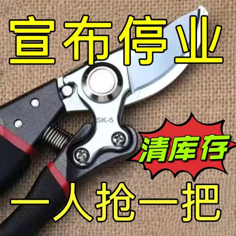 园艺高端强力修枝剪刀果树园林园艺专用修枝剪工具树枝修剪枝剪刀