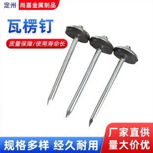 Galvanized Large Umbrella Caps, Corrugated Nails, Colored Steel Nails, Extended Large Caps, Wood Nails, Corrugated Nails, Cement Wall Nails, Screws