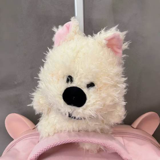 Cute West Highland Puppy Doll Eight Inch Plush Toy Doll Grasp Doll Wedding Throw Wholesale