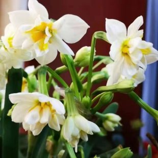 ˮ�ɻ��N��ˮ���҃��ļ�ˮ�B�����̨����ֲ��ٺϻ��N����������