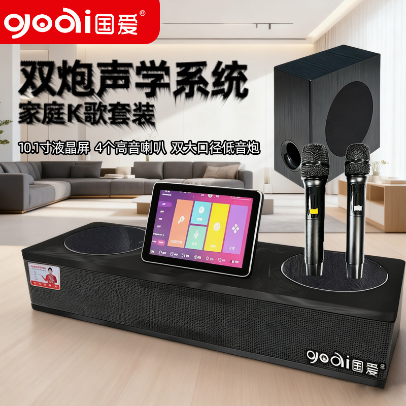 Guoai K100V Home Ktv Audio Set Karaoke Machine Echo Wall Tv Karaoke All-In-One Machine Karaoke Home