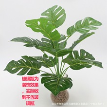 �S��ֱ�N 12�^���������~ 12�~����Gֲ�����b�ֲ���^�z�ָ��~��