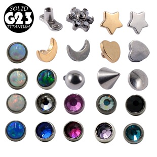 �r��G23������^����^���F��A���������Č�荻����ʯֲƤ�