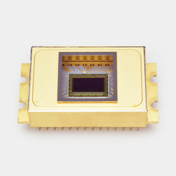 HAMAMATSU 滨松 G13544-01  InGaAs 面阵图像传感器