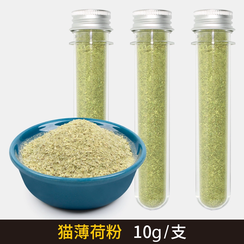 Кошачья мятная мука съедобная кошка травянистая шерстяная мякообразная мякообразная мякоти